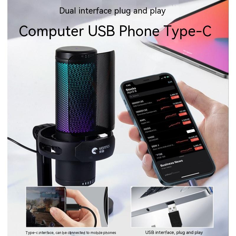 USB Type-C Dual Interface Microphone - Studio Recording Mic