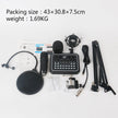 Professional Condenser Microphone - Complete Studio Recording Kit