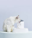 Pet Water Fountain with LED Light - 1.5L Automatic Circulating Cat Water Dispenser with Filter