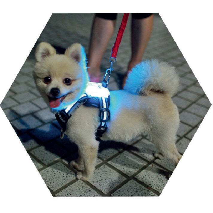 LED USB Rechargeable Dog Collar - Silicone Luminous Safety Collar for All Dog Sizes
