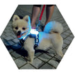 LED USB Rechargeable Dog Collar - Silicone Luminous Safety Collar for All Dog Sizes