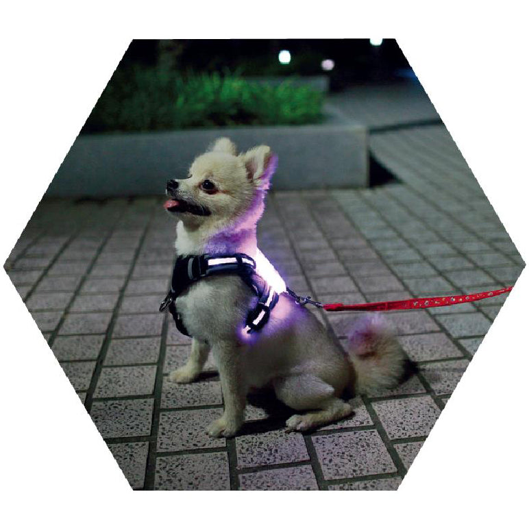 LED USB Rechargeable Dog Collar - Silicone Luminous Safety Collar for All Dog Sizes
