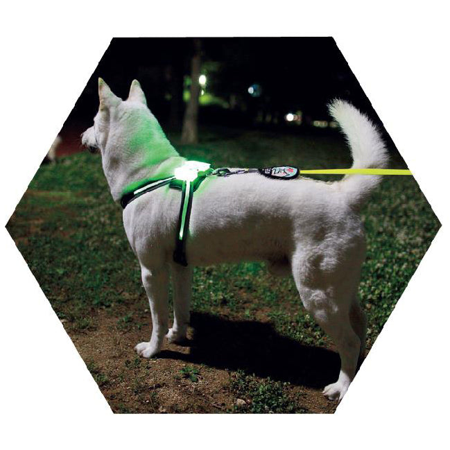 LED USB Rechargeable Dog Collar - Silicone Luminous Safety Collar for All Dog Sizes