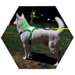 LED USB Rechargeable Dog Collar - Silicone Luminous Safety Collar for All Dog Sizes