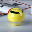 Wireless Bluetooth Speaker - Portable Mini Speaker with FM Radio