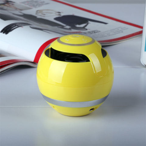 Wireless Bluetooth Speaker - Portable Mini Speaker with FM Radio
