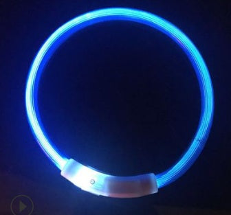USB Rechargeable LED Dog Collar - Light Up Safety Collar with 3 Flash Modes for Night Walking
