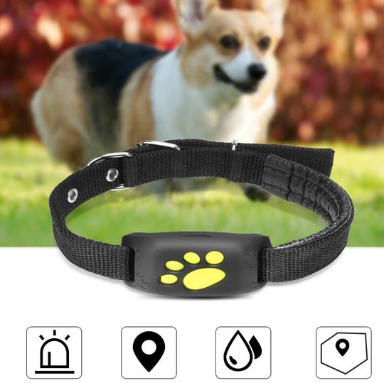 GPS Pet Tracker - Waterproof Real-Time Locator with Geo-Fence Alarm for Dogs and Cats