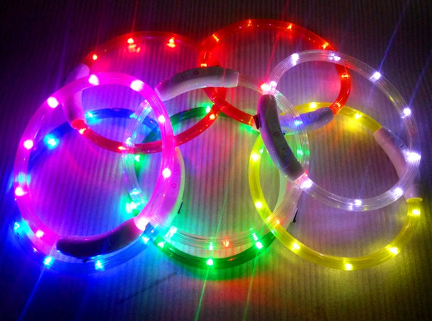 USB Rechargeable LED Dog Collar - Light Up Safety Collar with 3 Flash Modes for Night Walking