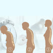 Spine Posture Corrector Brace - Back Support Belt for Men & Women