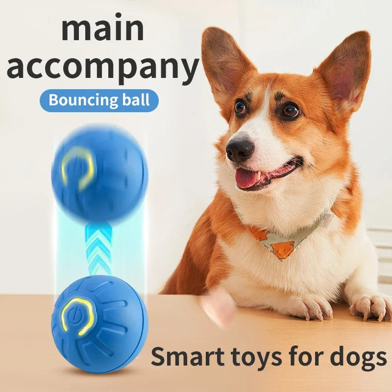 Smart Interactive Pet Toy Ball - USB Rechargeable Automatic Rolling Ball for Dogs and Cats