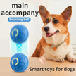 Smart Interactive Pet Toy Ball - USB Rechargeable Automatic Rolling Ball for Dogs and Cats