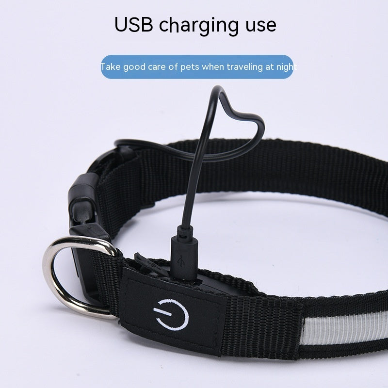 LED Dog Collar USB Rechargeable - Waterproof Light Up Safety Collar with 3 Glow Modes