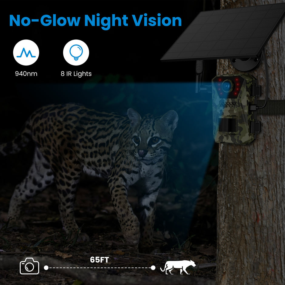 4G Solar Trail Camera - 4K 30FPS Wildlife Camera | No WiFi Needed with SIM Card & App Control
