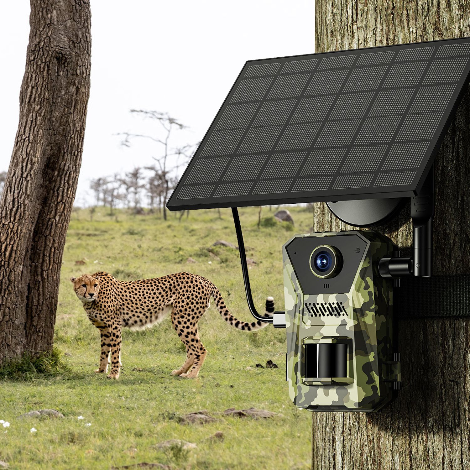 4G Solar Trail Camera - 4K 30FPS Wildlife Camera | No WiFi Needed with SIM Card & App Control