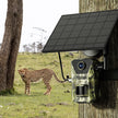 4G Solar Trail Camera - 4K 30FPS Wildlife Camera | No WiFi Needed with SIM Card & App Control