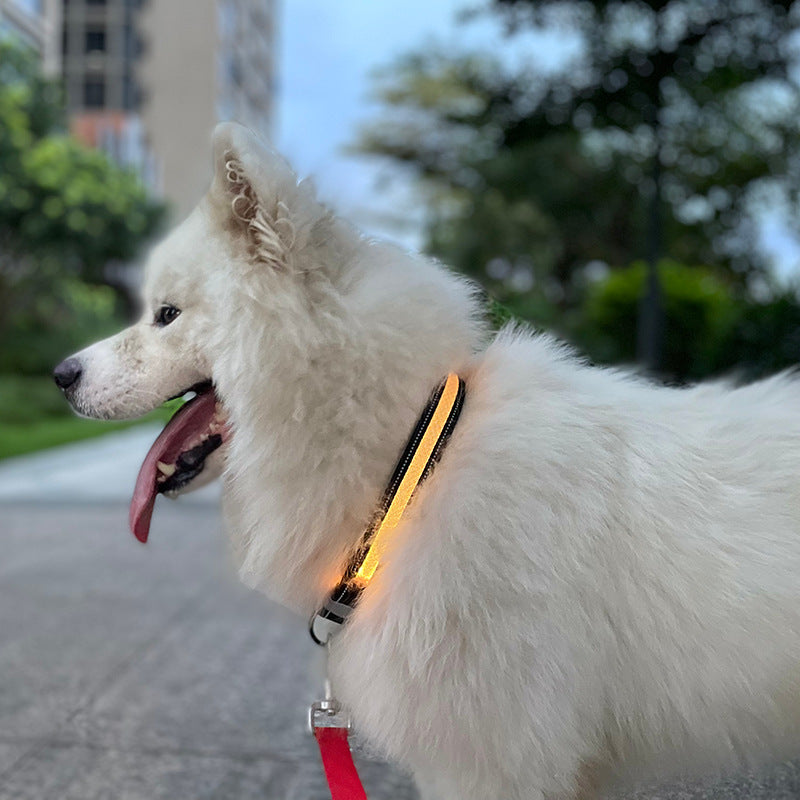LED Dog Collar USB Rechargeable - Light Up Safety Collar for Night Walks with Adjustable Sizes