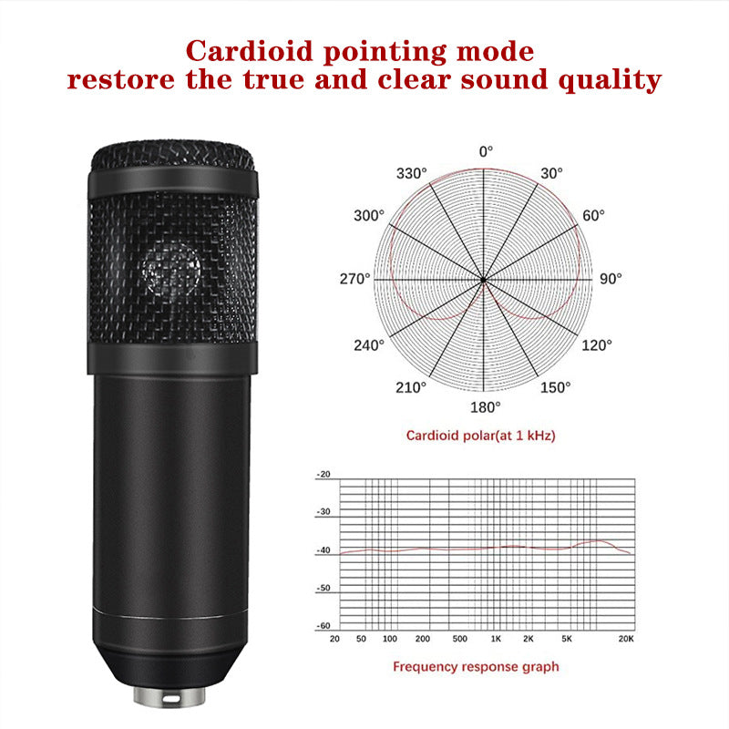 Professional Condenser Microphone - Complete Studio Recording Kit