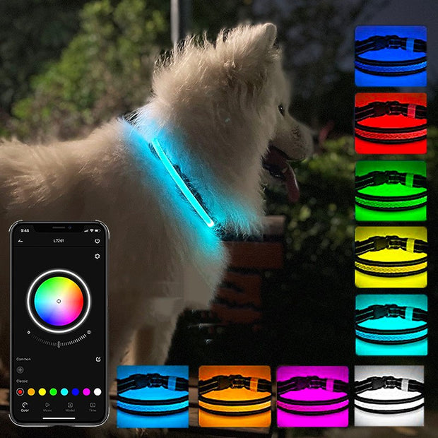 LED Dog Collar USB Rechargeable - Light Up Safety Collar for Night Walks with Adjustable Sizes