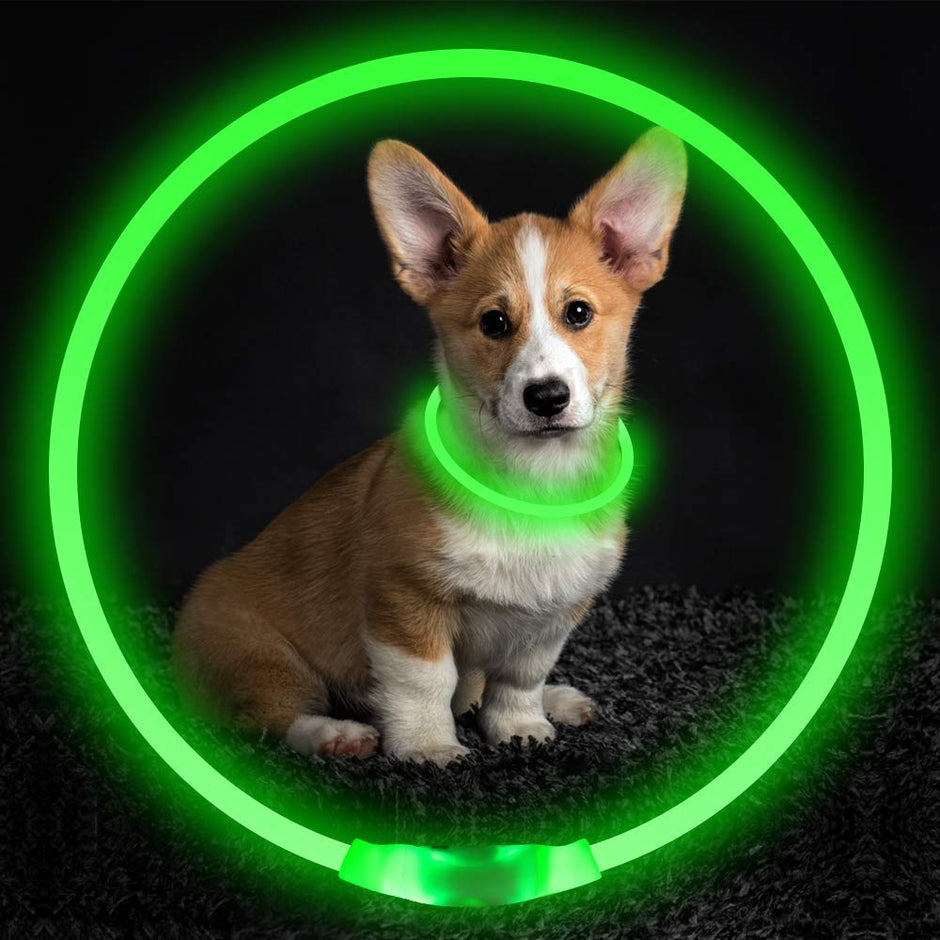 LED Pet Safety Collar - USB Rechargeable Glowing Fiber Optic Collar for Night Walking