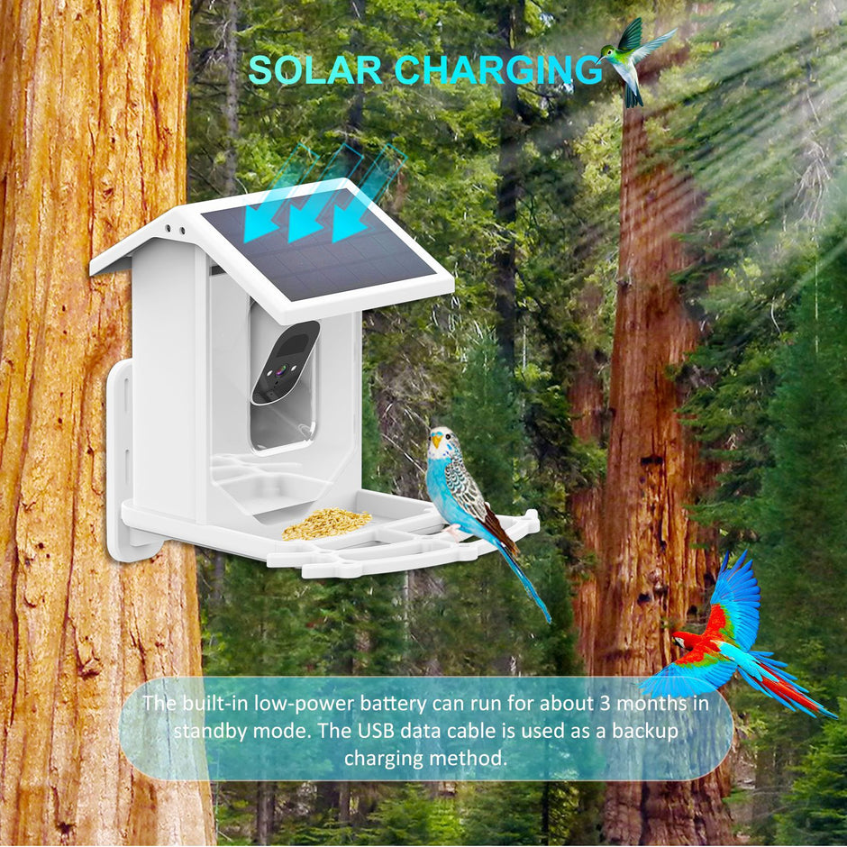 Solar Smart Bird Feeder Camera - Low Power Consumption WiFi Bird Watching Feeder