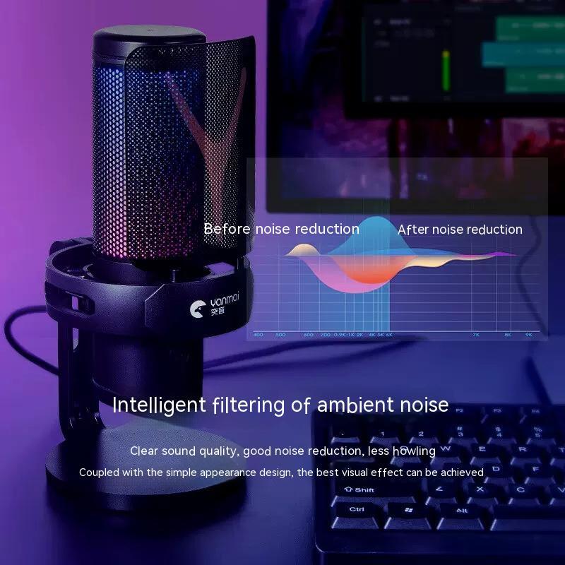 USB Type-C Dual Interface Microphone - Studio Recording Mic