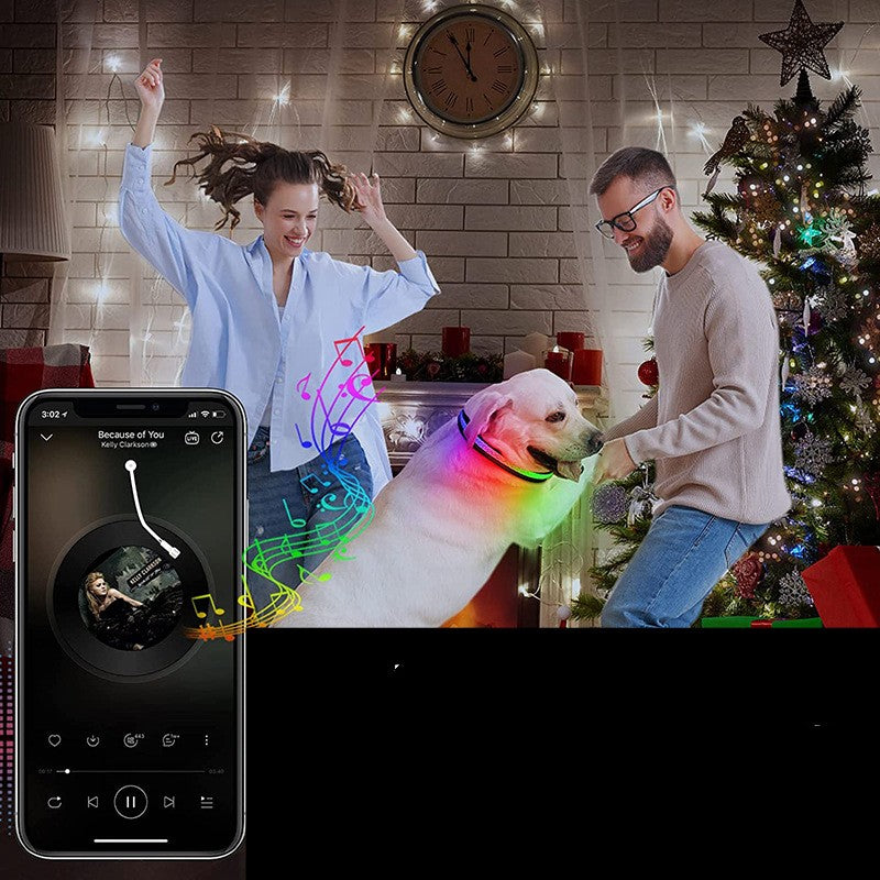 LED Dog Collar USB Rechargeable - Light Up Safety Collar for Night Walks with Adjustable Sizes