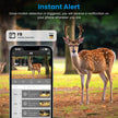 4G Solar Trail Camera - 4K 30FPS Wildlife Camera | No WiFi Needed with SIM Card & App Control