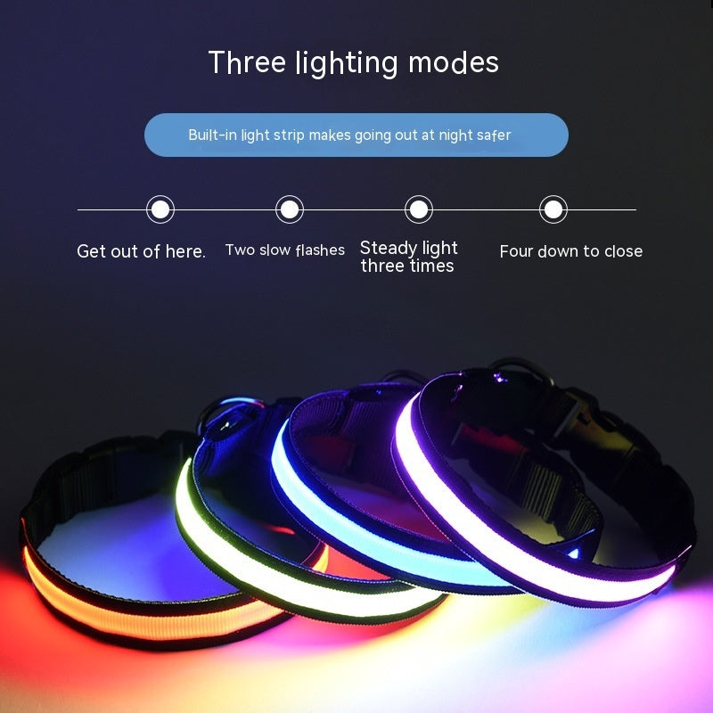 LED Dog Collar USB Rechargeable - Waterproof Light Up Safety Collar with 3 Glow Modes