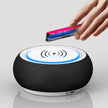 Wireless Bluetooth Speaker - Dual Subwoofer Loud Volume Stereo