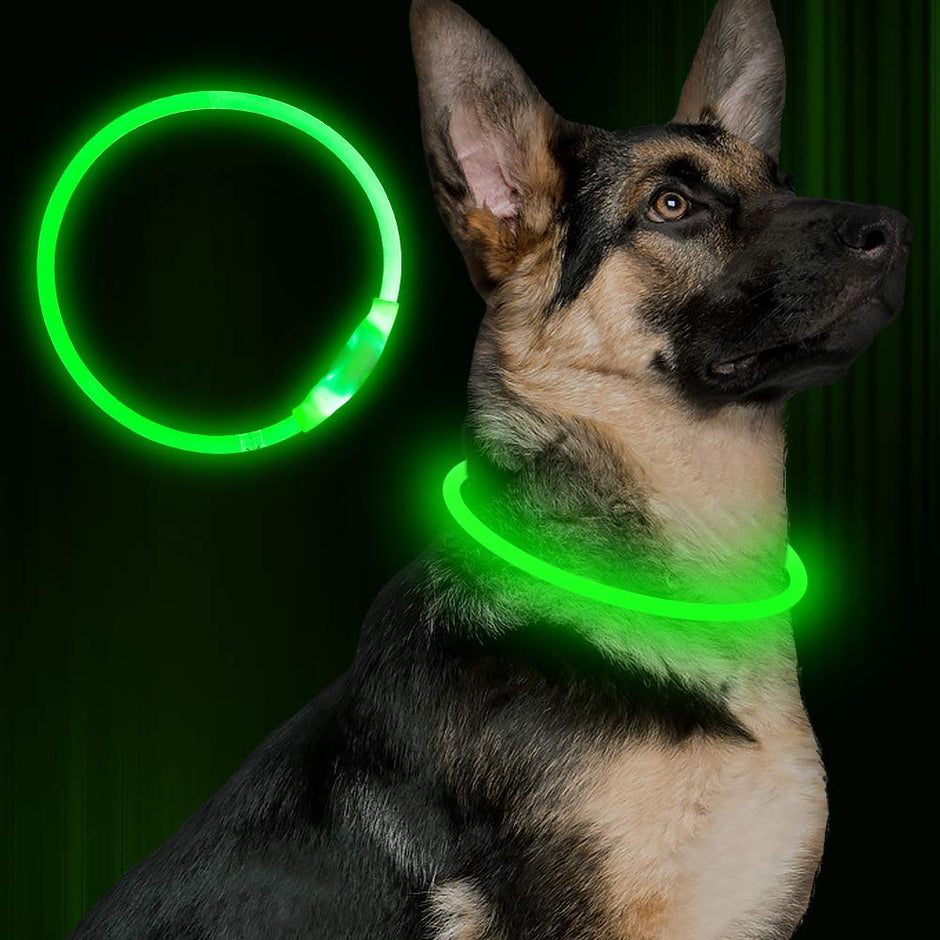 LED Pet Safety Collar - USB Rechargeable Glowing Fiber Optic Collar for Night Walking