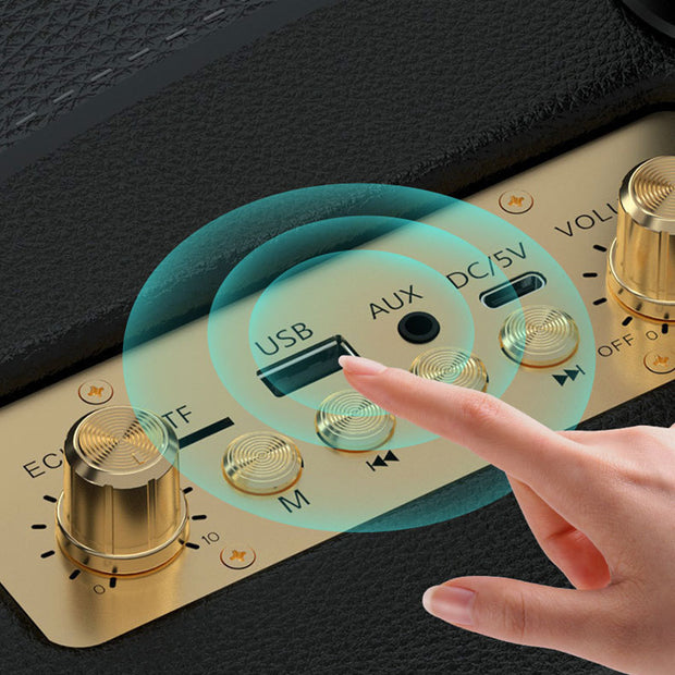 Karaoke Speaker System - Portable Bluetooth Speaker with Dual Microphones