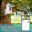 Solar Smart Bird Feeder Camera - Low Power Consumption WiFi Bird Watching Feeder
