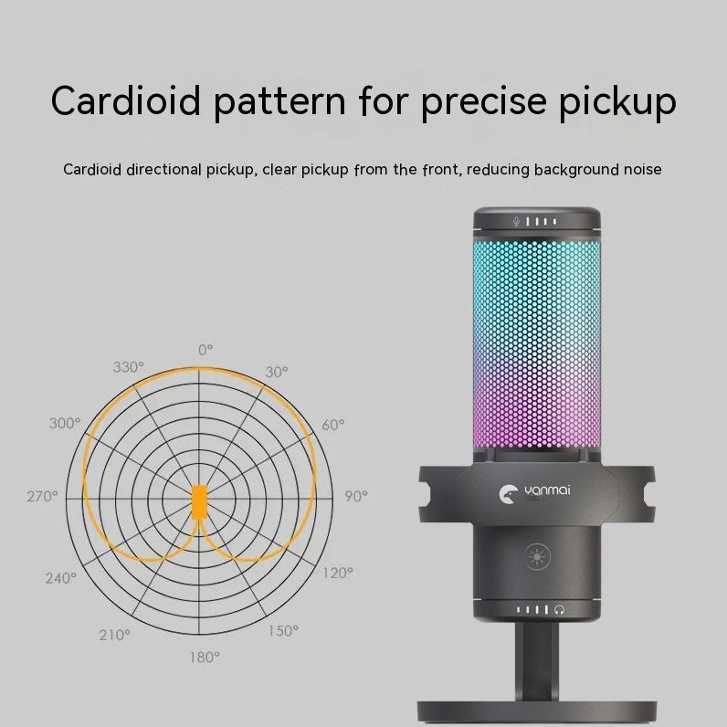 USB Type-C Dual Interface Microphone - Studio Recording Mic