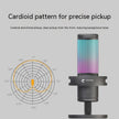 USB Type-C Dual Interface Microphone - Studio Recording Mic