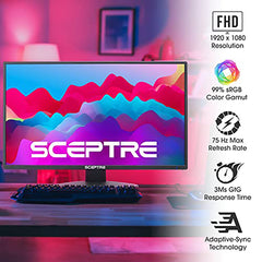 Sceptre 22 inch 75Hz 1080P LED Monitor 99% sRGB HDMI X2 VGA Build-In Speakers, Machine Black (E225W-19203R series)